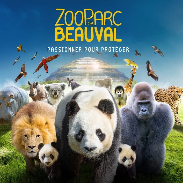 Visite du ZooParc de Beauval @ Saint-Aignan