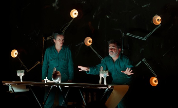 Arbres modestes @ Vannes-le-Châtel