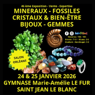 46ème Salon Minéraux Fossiles et Bijoux de créateurs @ Saint-Jean-le-Blanc