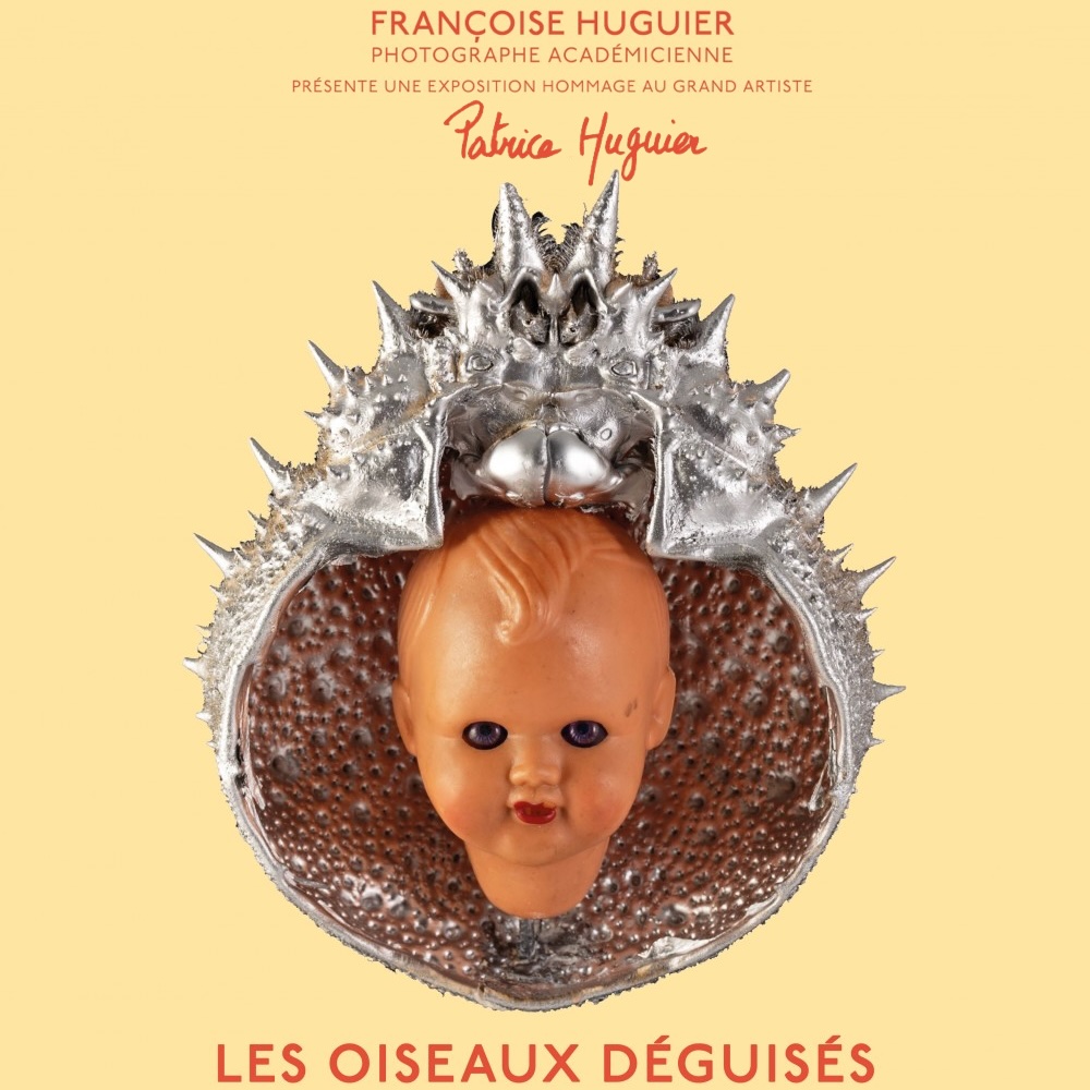 Les Oiseaux déguisés @ Paris