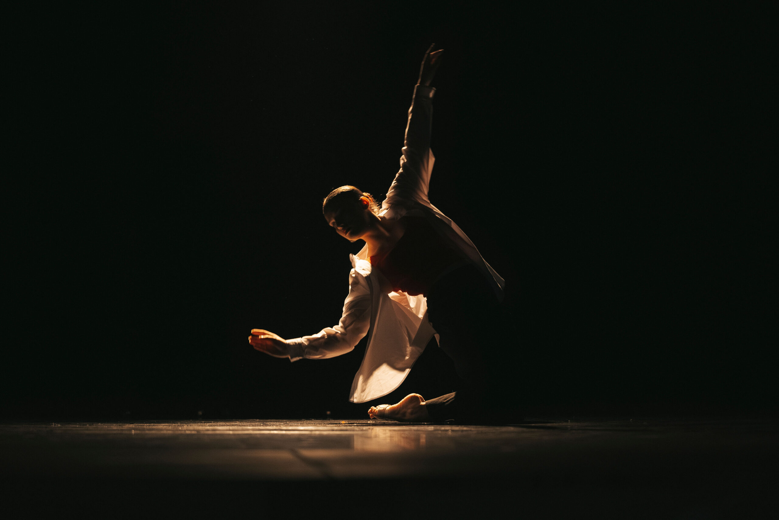 Spectacle de danse Nastasia 2026 @ Dijon