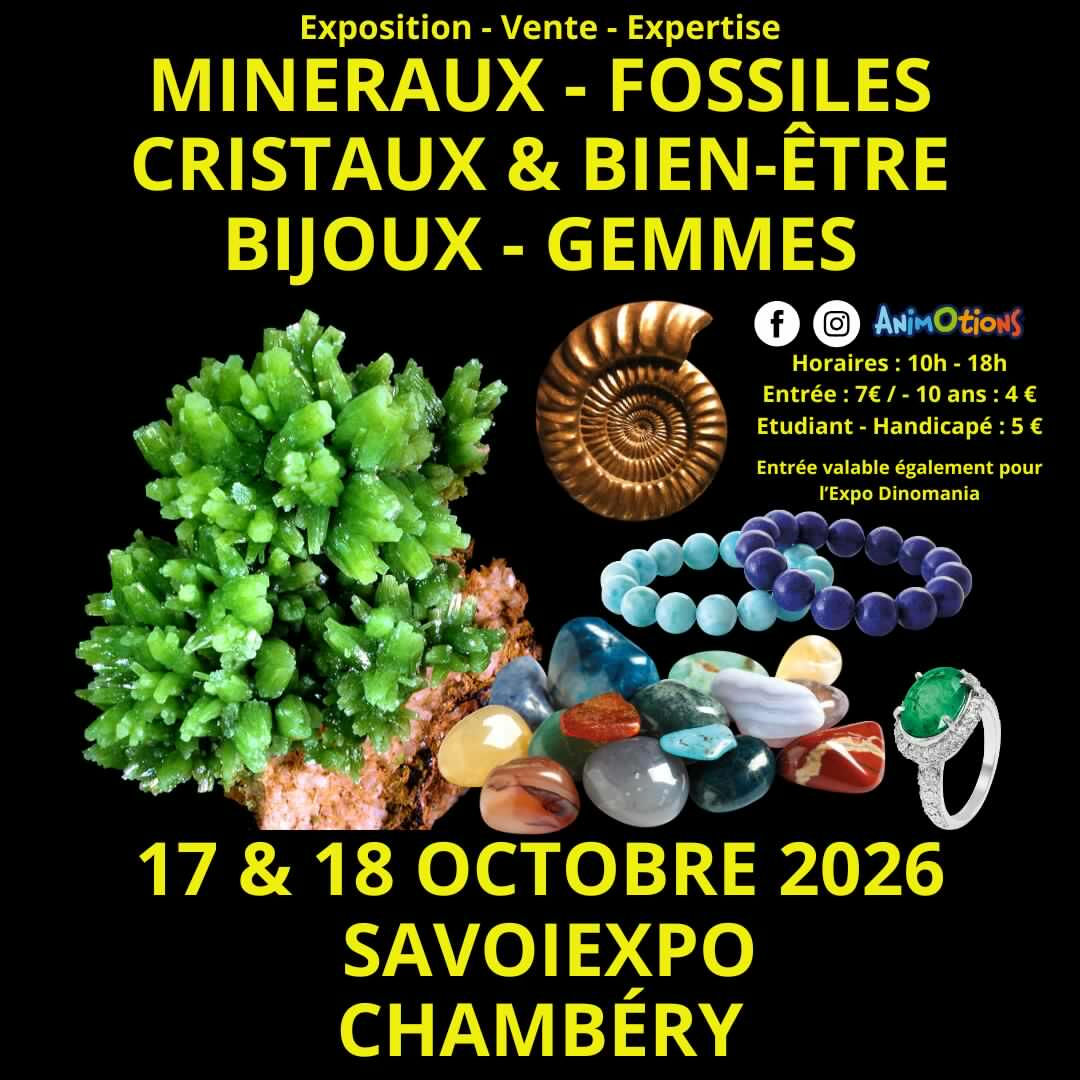 7ème Salon Minéraux Fossiles Cristaux @ Chambéry