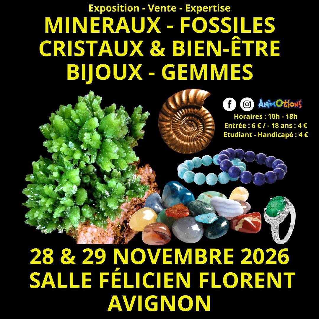 Salon des Minéraux et Exposition Préhistoric @ Avignon