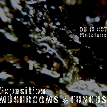 Vernissage de l'exposition Mushrooms & Fungus @ Plateforme Intermédia