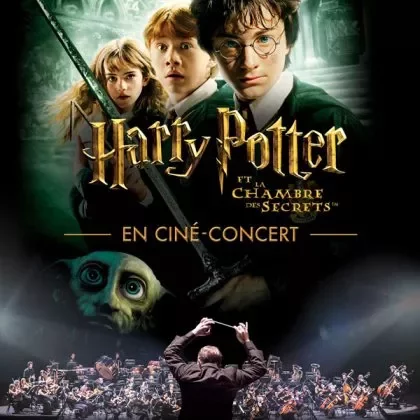 Harry Potter @ Zénith d'Auvergne