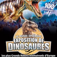 dinosaures le cannet accueille le musee ephemere @ le-cannet