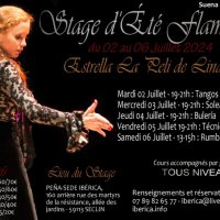 stage de flamenco seclin 2024 iberica el verano suena flamenco ix @ seclin