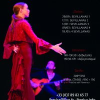 stages de danse flamenco sevillanas @ seclin