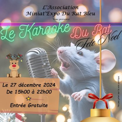 Le karaoké du rat fête Noël  @ Le Réservoir