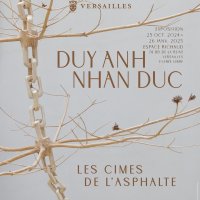 duy anh nhan duc les cimes de l asphalte @ versailles