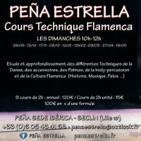 cours de danse flamenco cours de technique @ seclin