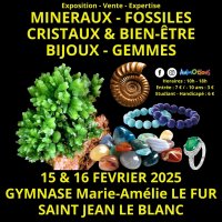 45eme salon mineraux fossiles cristaux bien etre bijoux et gemmes @ saint-jean-le-blanc