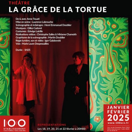 La grâce de la tortue, ou comment je n’ai pas réussi à rater ma vie. @ Le 100 ECS