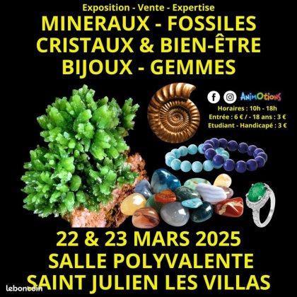 Salon Minéraux Fossiles Cristaux & Bien-Être Bijoux et Gemmes de Troyes @ Salle Polyvalente