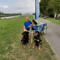 journee de presentation courir pour handi chiens @ quintin