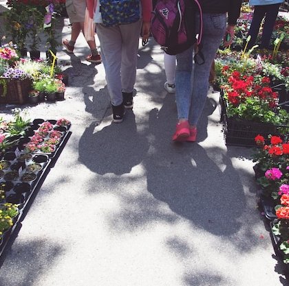 8ème marché aux plantes @ Salle des fêtes