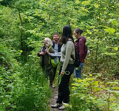 Ma Forêt Est Vivante @ Forêt de Fausses Reposes