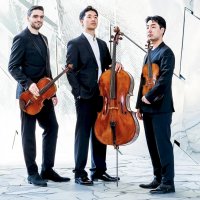 trio arnold @ vienne