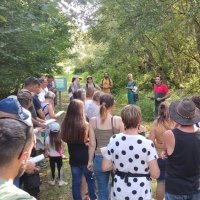 fete du bois @ saint-martin-en-bresse