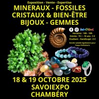 6eme salon mineraux exposition sur la prehistoire @ chambery