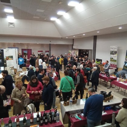 Salon Vinessens @ Salle Roger Rochet Salon Vinessens @ Salle Roger Rochet