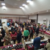 salon vinessens @ ouroux-sur-saone