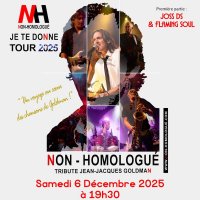 non homologue concert hommage a jean jacques goldman @ grisy-suisnes