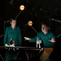 arbres modestes @ vannes-le-chatel