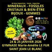 46eme salon mineraux fossiles et bijoux de createurs @ saint-jean-le-blanc