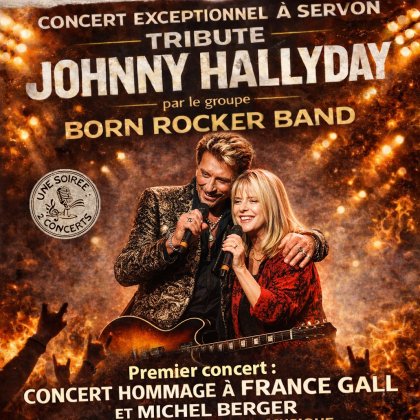 Concerts hommages à France Gall  et Johnny Hallyday  @ Salle Roger Coudert