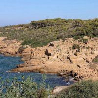 noces et retour a tipasa @ ferney-voltaire