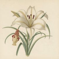 concert de printemps lecons de tenebres de francois couperin @ saint-lager