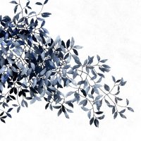 entre deux mondes @ la-seyne-sur-mer