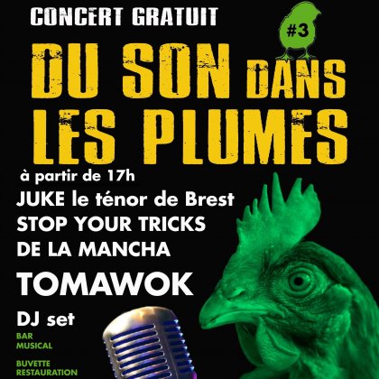 Festival Du Son dans les Plumes 2026 @ Parc des loisirs
