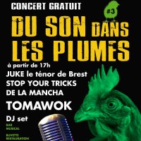 festival du son dans les plumes 2026 @ saint-macaire-du-bois