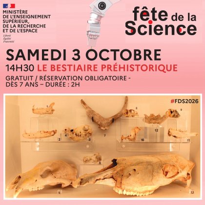 Le bestiaire préhistorique @ Musée d'Apt