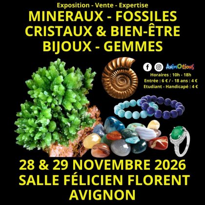 Salon des Minéraux et Exposition Préhistoric @ Salle Polyvalente Félicien Florent