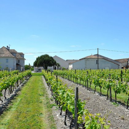Agenda Château Montifaud - Jarnac-Champagne
