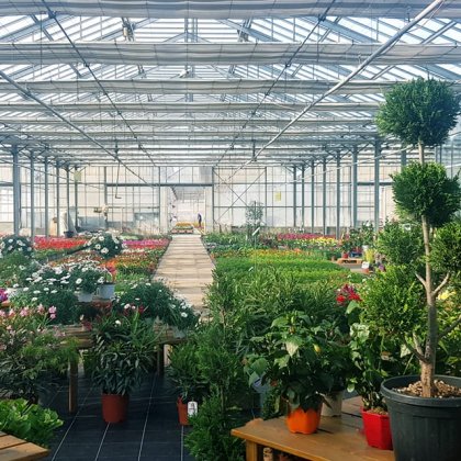 Agenda Les Serres d'Irigny - Irigny