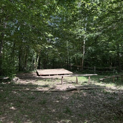 Agenda Forêt de Pressins - Pressins